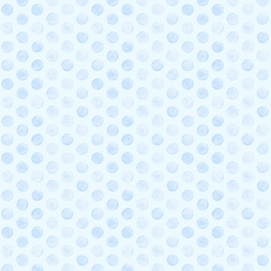 CSHO 6449 BLUEBERRY